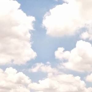 Meet your Posher, Timothy